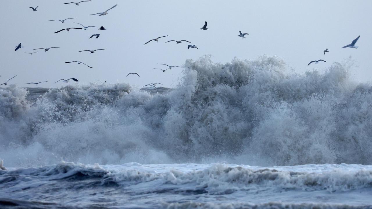 Los angeles storm climate