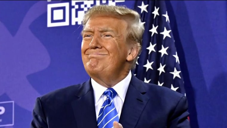 Trump immunity appeals court