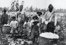 Black americans federal reparations