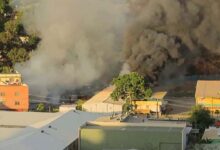Papua new guinea killings
