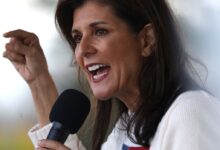 Nikki haley south carolina