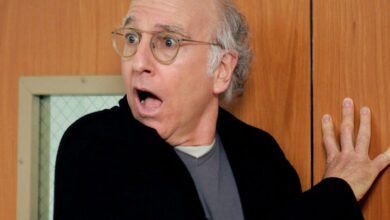 Larry david curb your enthusiasm georgia voting