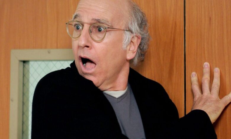 Larry david curb your enthusiasm georgia voting