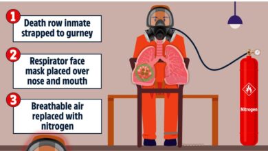 Nitrogen gas alabama executions