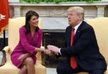 Trump haley biden election