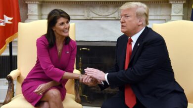 Trump haley biden election