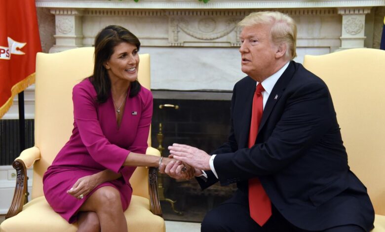 Trump haley biden election