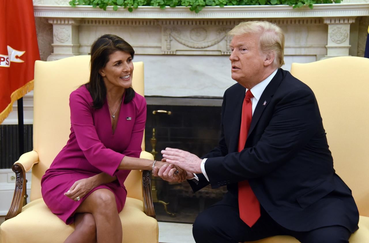 Trump haley biden election