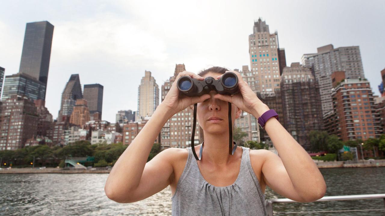 New york city birds safety