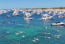 Perth swimmer Rottnest swim race winner