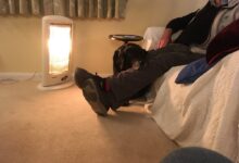 Quotation of the day a new strategy wooing the influencers