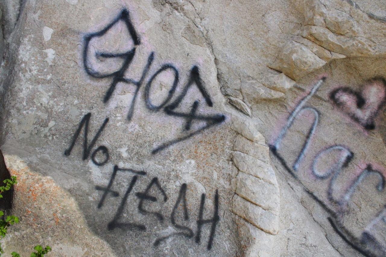 Vandalism hurts damages nps acts degrades defacing Michigan river national park vandalism