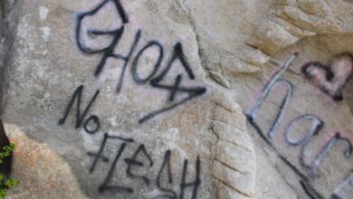 Michigan river national park vandalism
