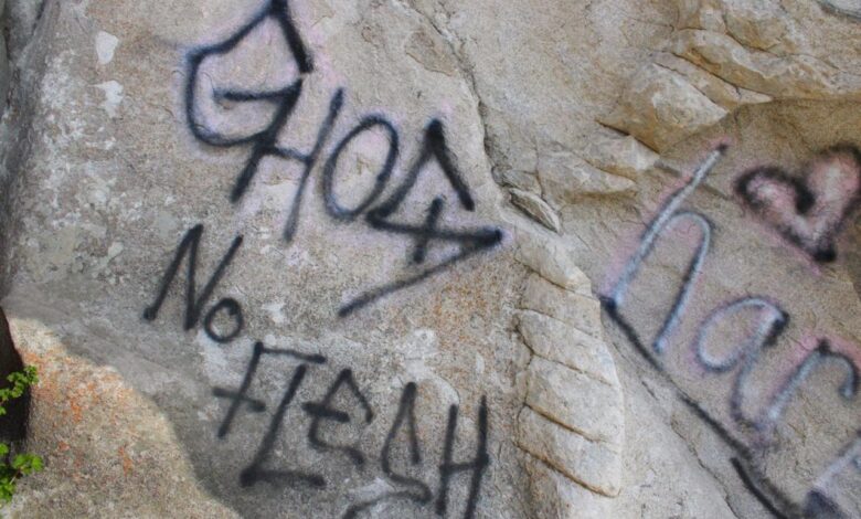 Michigan river national park vandalism