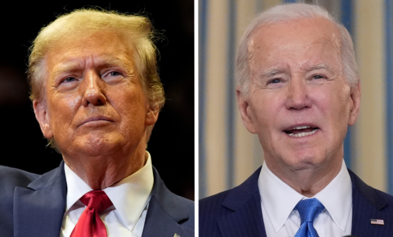 Trump biden haley election