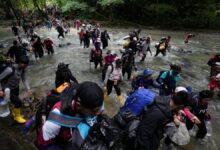 Migrants darien gap arrests