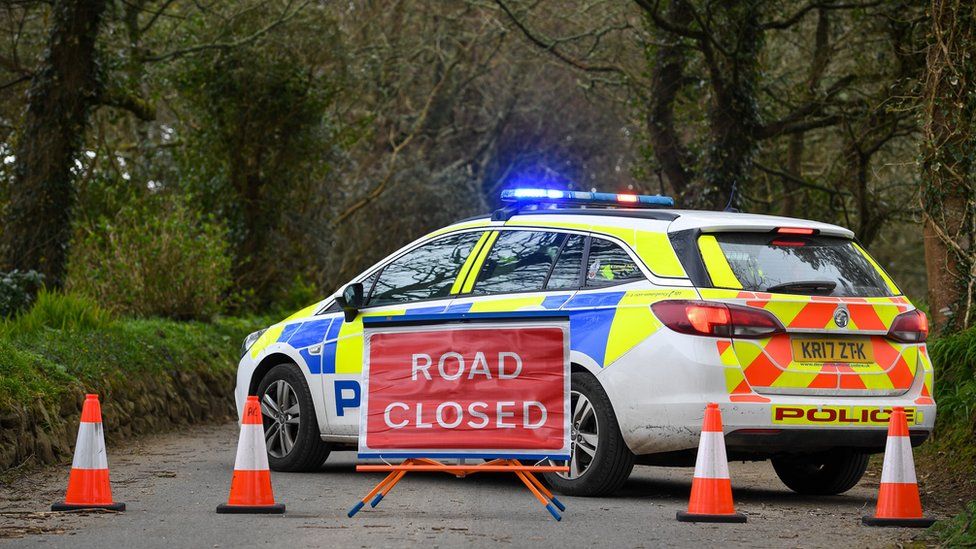 Tortoises found dead devon