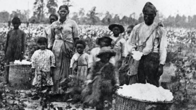 Black americans federal reparations