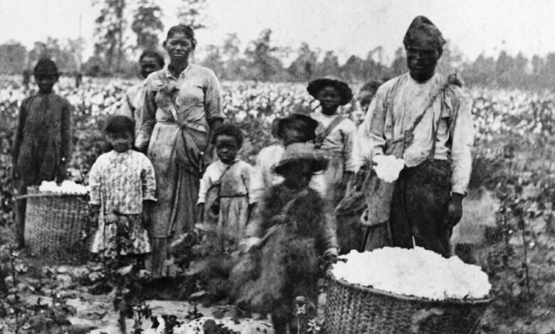 Black americans federal reparations