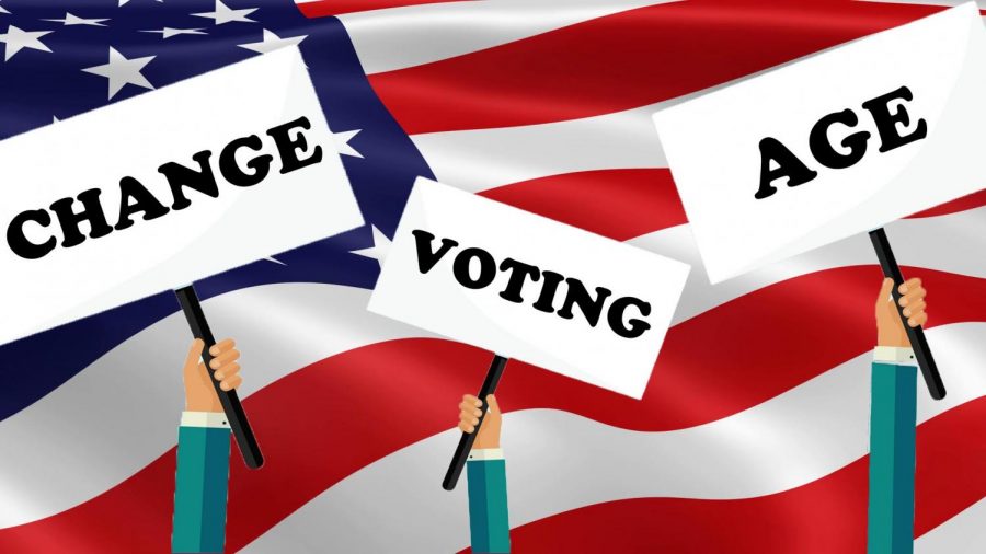 Should the voting age be lowered to 16