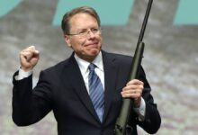 Wayne lapierre nra chief testimony