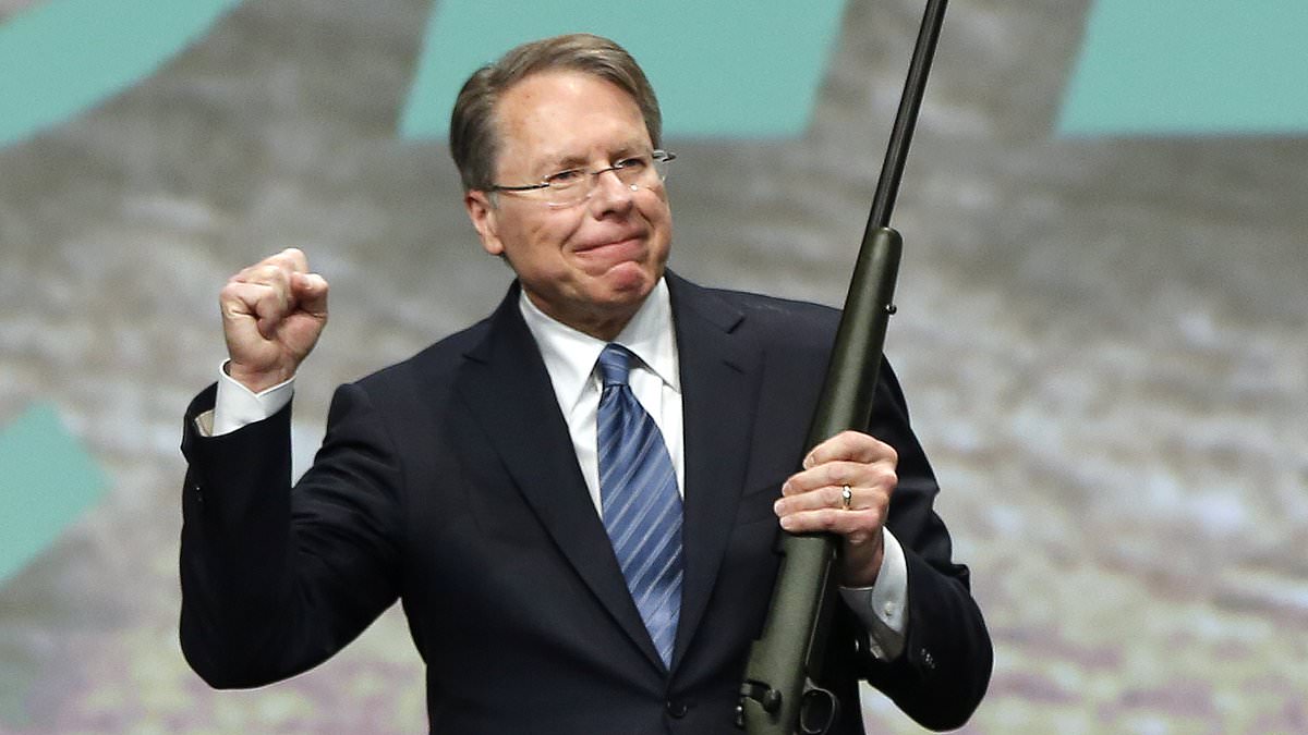 Wayne lapierre nra chief testimony