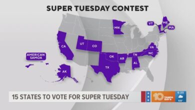 Michigan primary super tuesday