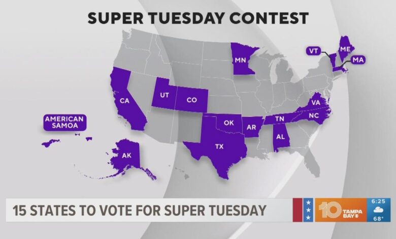 Michigan primary super tuesday