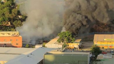 Papua new guinea killings