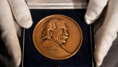 Billion dollar gift einstein medical college