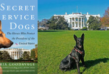 Secret service commander dog