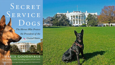 Secret service commander dog