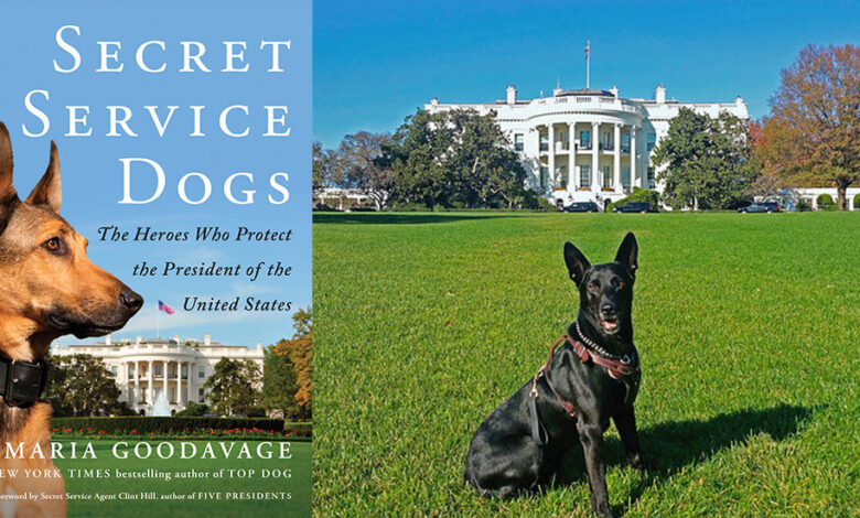 Secret service commander dog