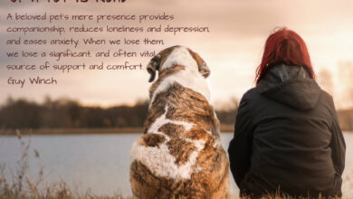 Pet loss grief support