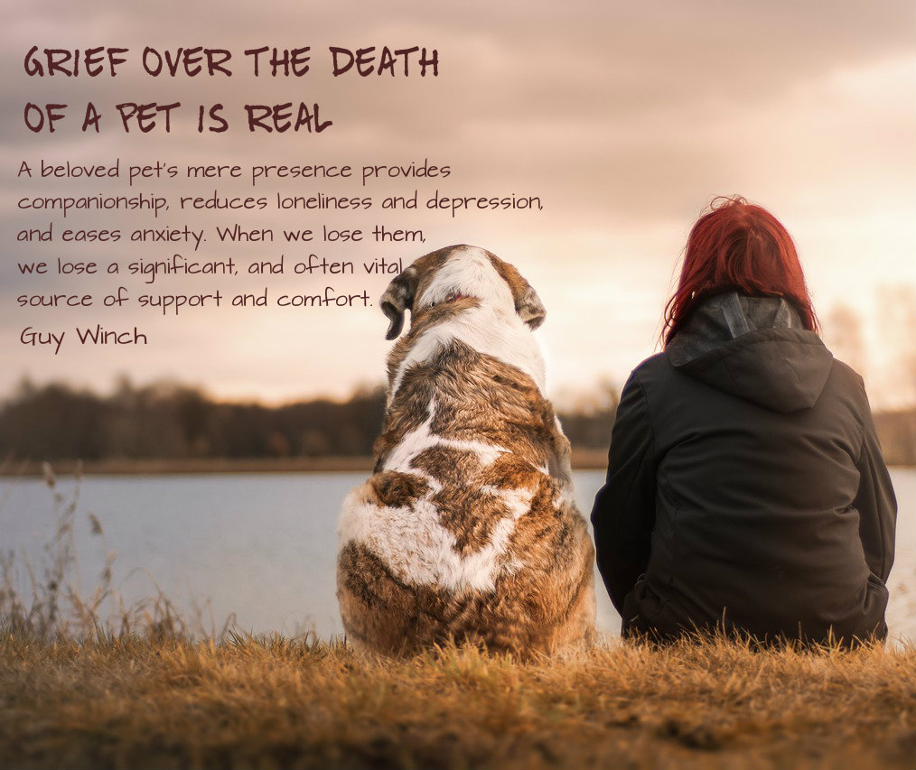 Pet loss grief support