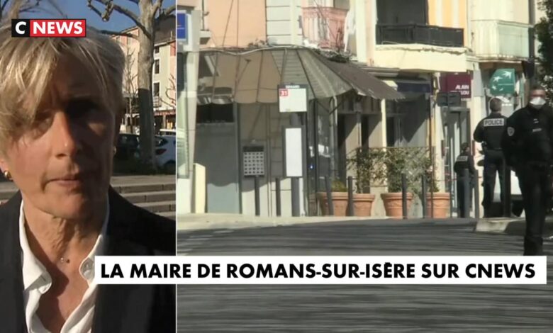 France stabbing romans sur isere