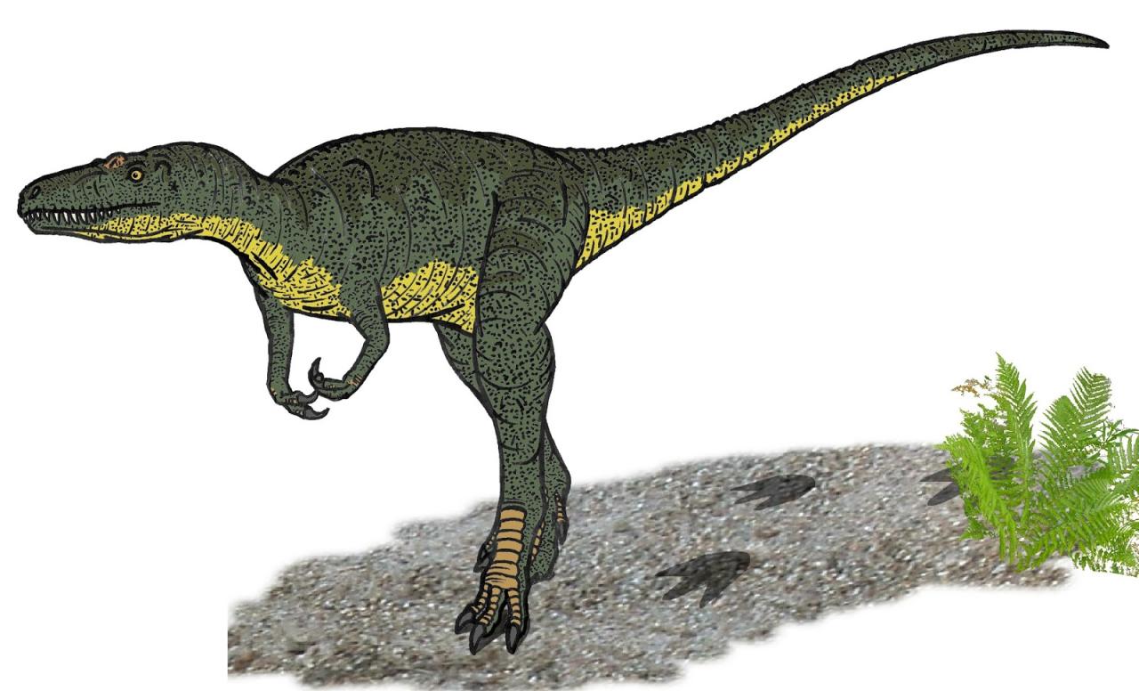 Tyrannosaurus rex nanotyrannus fossils