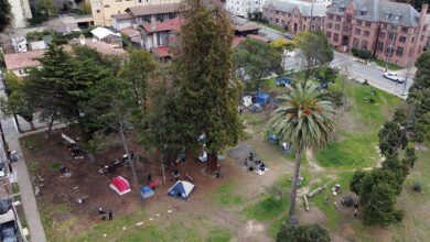 Park people berkeley peoples survey landscapes historic american perimeter canopy footpath trees into