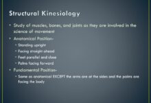 Word of the day kinesiology