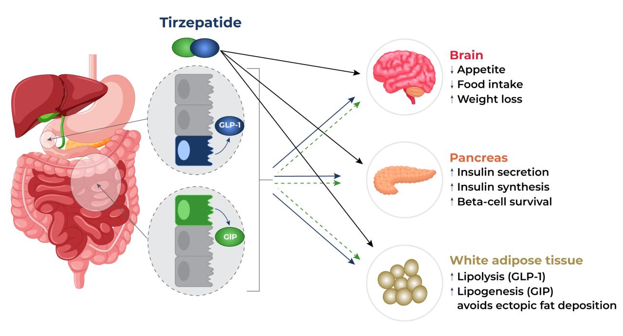 Weight loss tirzepatide lilly telehealth