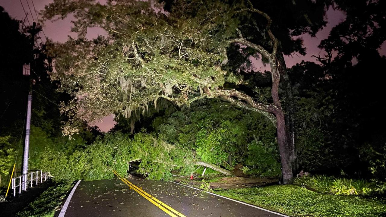 Tornado storms georgia florida