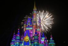 Disney world allergy death lawsuit