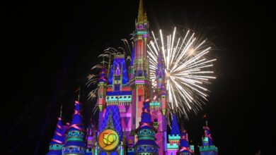 Disney world allergy death lawsuit