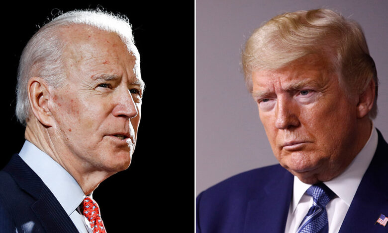 Joe biden edad memoria informe