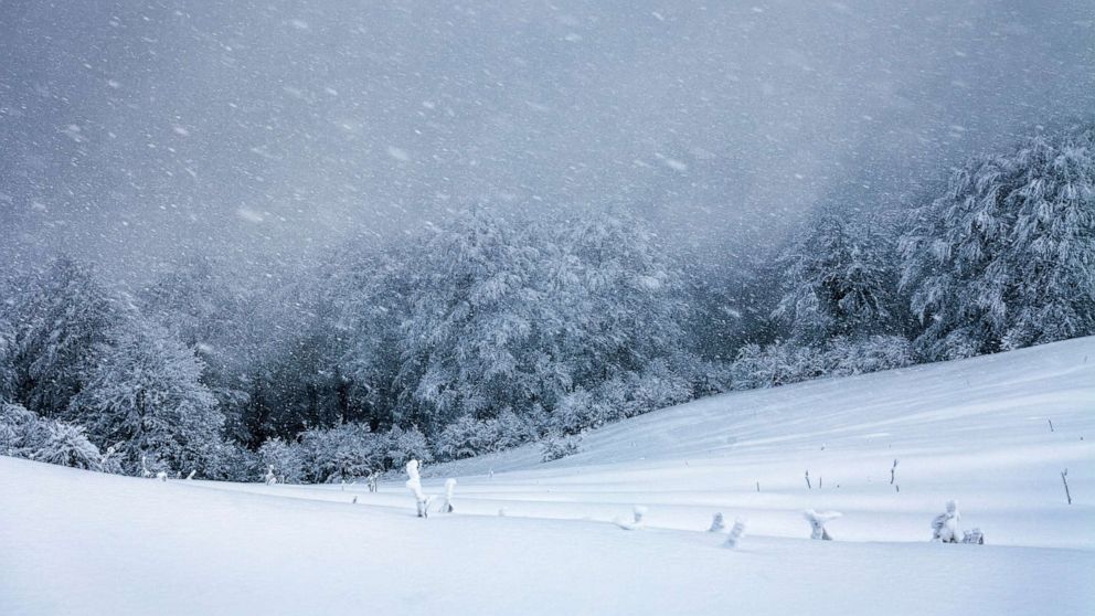 Snow storm weather forecast