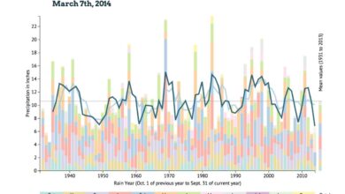 Los angeles rainfall total