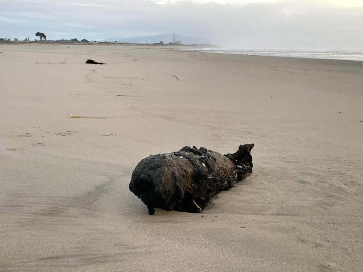 Wwii bomb santa cruz beach