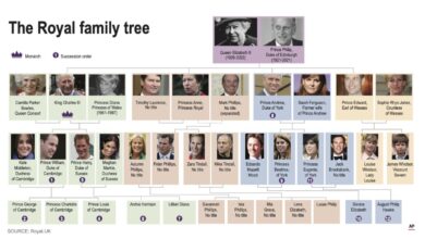 King charles royal family succession