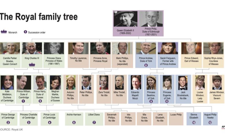 King charles royal family succession