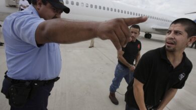 Deportation flights mexico immigration